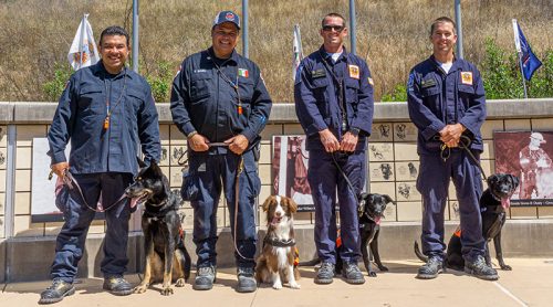 4 New Canine Disaster Search Teams join SDF’s roster!