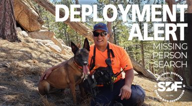 Two Search Teams deploy for missing person in Mount Waterman, CA