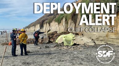 San Diego Search Teams deploy to beach cliff collapse