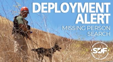 Mexico canine teams assist in missing person search