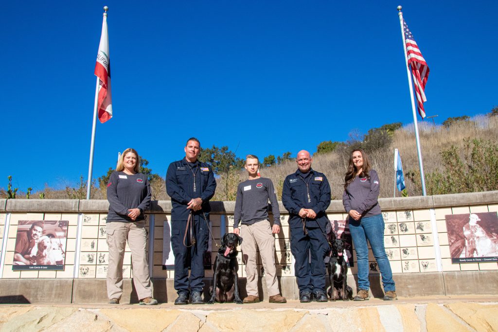 Two canine disaster search teams join SDF's roster!