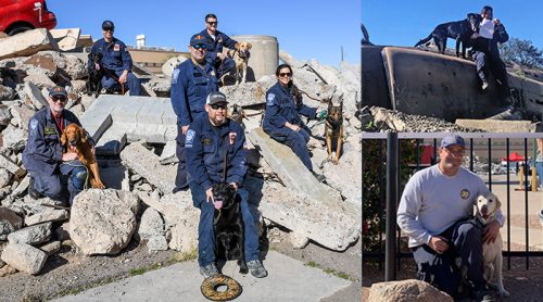 Eight SDF-trained Search Teams certify in beginning of 2020!