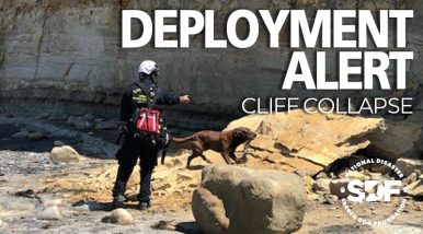 Two SDF teams respond to cliff collapse in San Diego