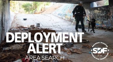 Veteran search team clears scene of fire in 18th career deployment
