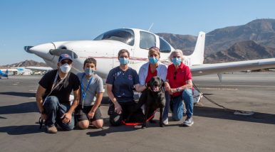 SDF takes canine recruitment to new heights with volunteer pilot program