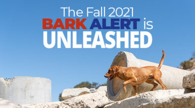 The Fall 2021 Bark Alert is unleashed!