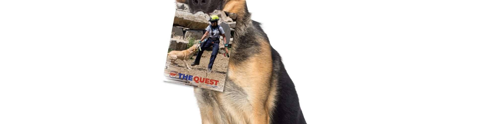 The Quest 2021