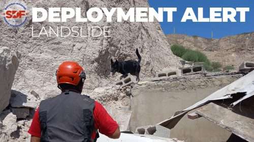 Two SDF canine teams search collapsed building after Tijuana landslide