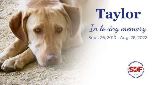 Taylor (2010-2022)