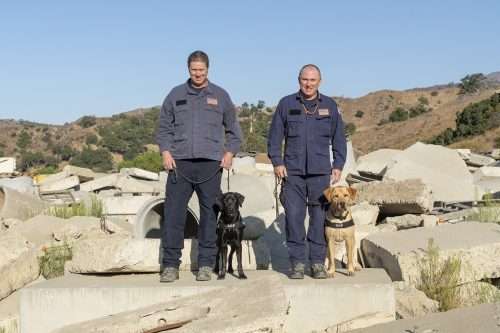 Two new canine disaster search teams join SDF’s roster!