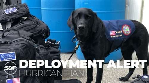Three SDF-trained search dog teams respond to Florida in aftermath of Hurricane Ian
