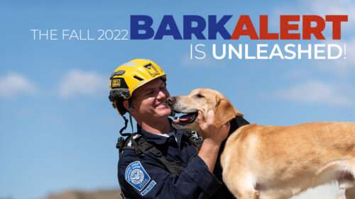 The Fall 2022 Bark Alert is unleashed!