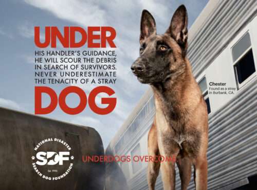 Underdogs Overcome