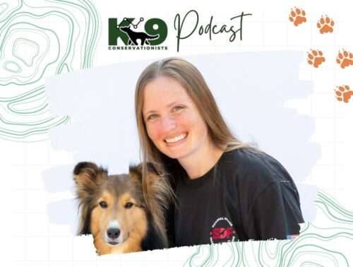 Seeking Shelter Dogs, Together: SDF shares canine recruitment insights on K9 Conservationists Podcast