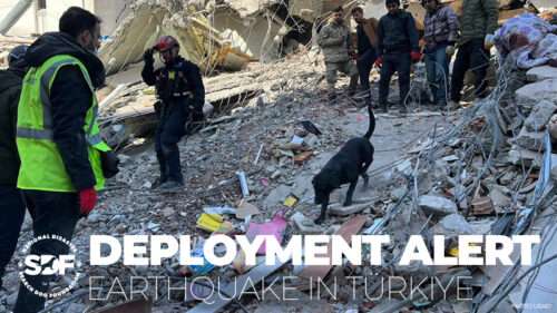 Seven SDF-trained search dog teams join rescuers from around the world to assist after deadly earthquake in Türkiye