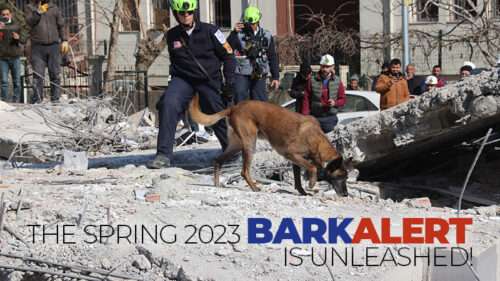 The Spring 2023 Bark Alert magazine is unleashed!