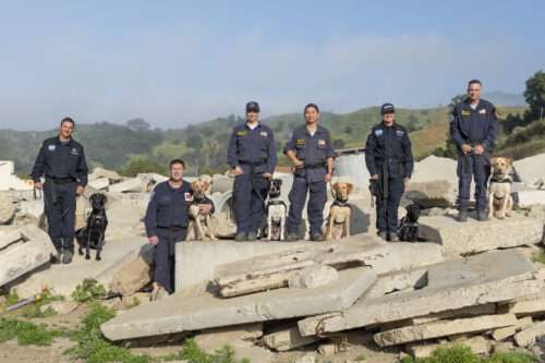 Congratulations to SDF’s six newest search teams!