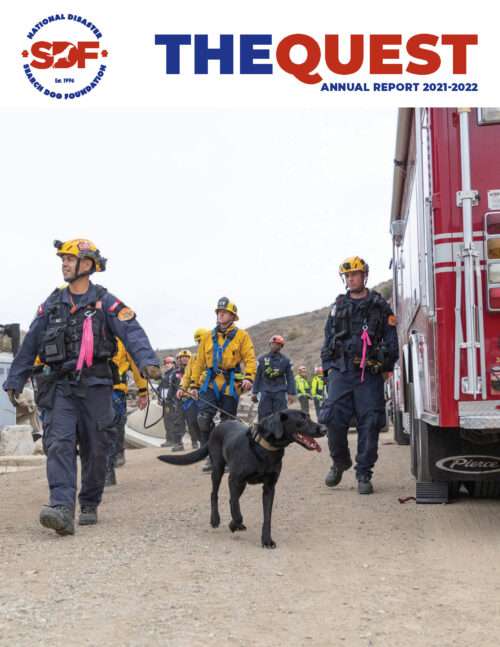 Get your paws on our Quest annual report!