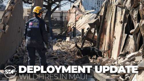 SDF-trained canine teams join disaster response in wake of Maui wildfires