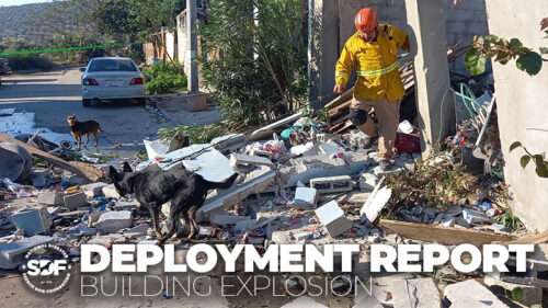 Two SDF-trained Teams Search After Building Explosion in Tijuana