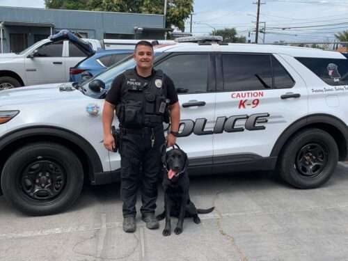 Gus uses his sniffer for school safety in new career