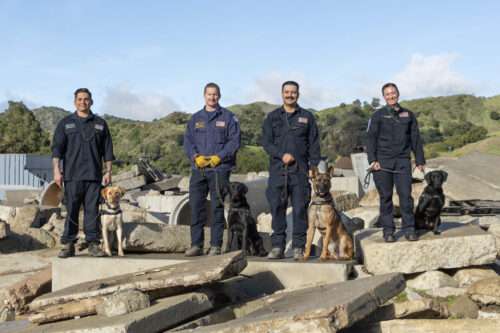 Congratulations to our four newest search teams!