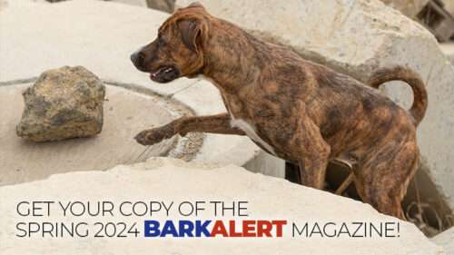 Get Your Copy of the 2024 Spring Bark Alert Magazine!