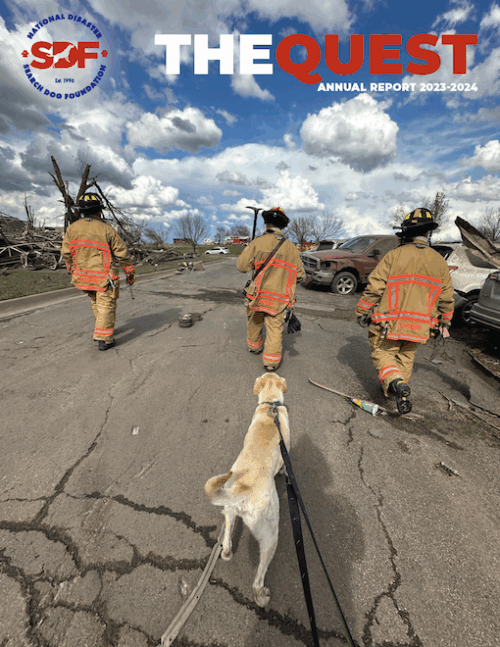 Get your paws on our Quest annual report!