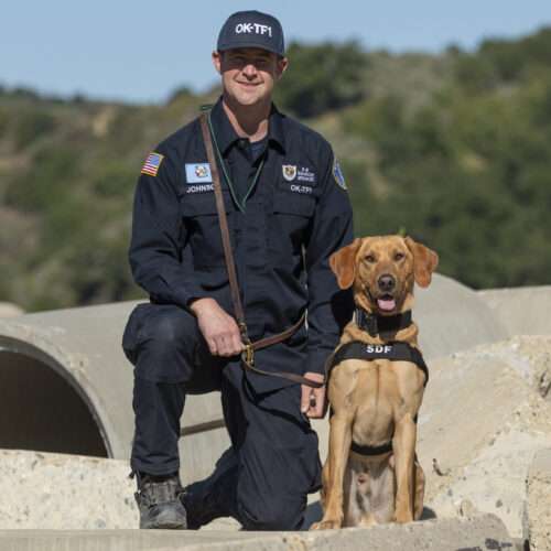 Dino & Nathan Johnson