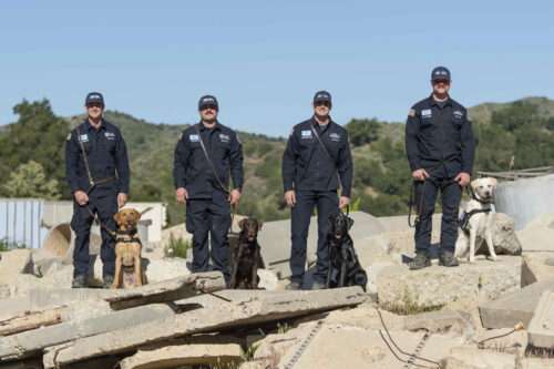 Congratulations to our four newest search teams!
