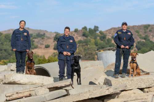 Congratulations to our three newest search teams!