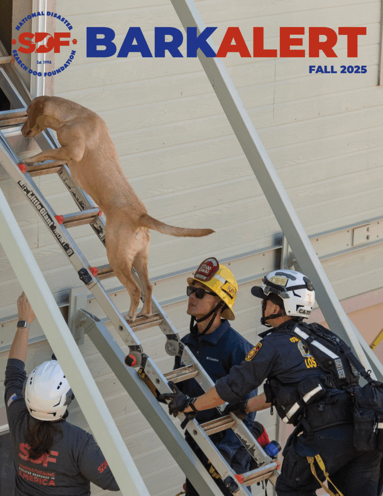 Get Your Copy of the 2025 Fall Bark Alert Magazine!