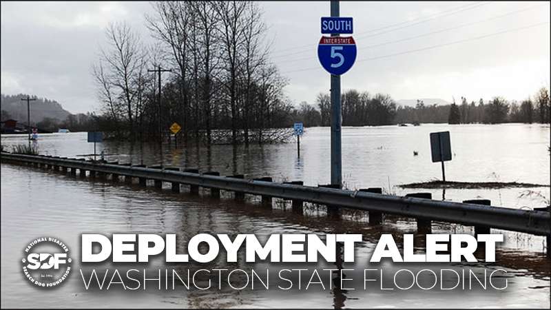 SDF-Trained Search Teams Deploy to Washington State in Wake of Massive Storm System