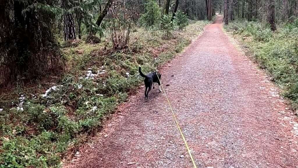 SDF Grant Helps Teams Build New Skills by Investing in Advanced Training