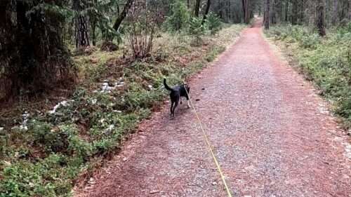 SDF Grant Helps Teams Build New Skills by Investing in Advanced Training