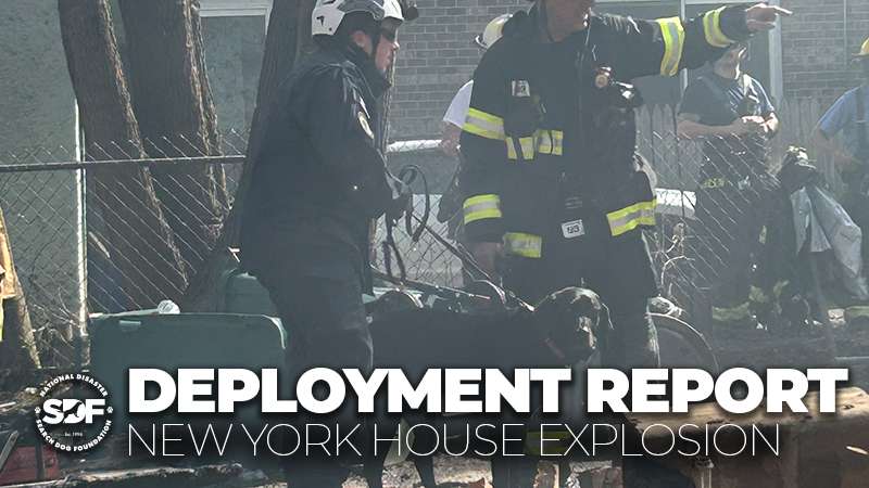 SDF-Trained Search Teams Deploy to New York House Explosion