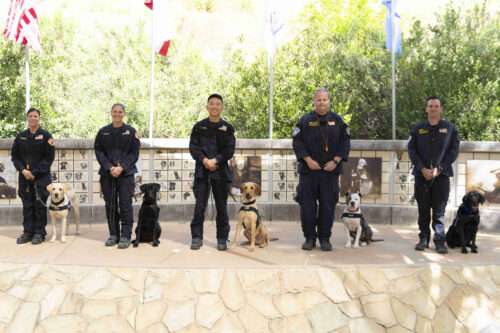 Celebrating a Legacy of Service: Five New Search Teams are Paired on the Eve of SDF’s 30th Anniversary