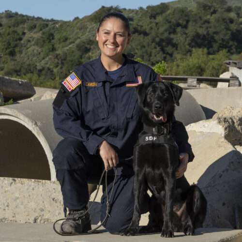 Jet & Lauren Cardin
