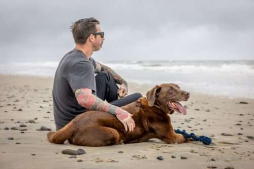 Pet Cancer Awareness Month: Recognizing the Signs and Celebrating Our Fighters