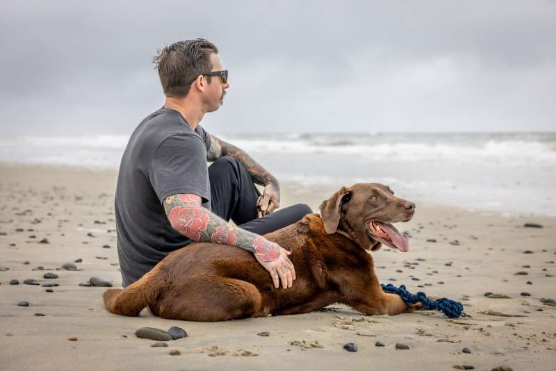 Pet Cancer Awareness Month: Recognizing the Signs and Celebrating Our Fighters