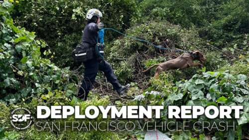 SDF-Trained Search Team Responds to Wide Area Search in San Francisco
