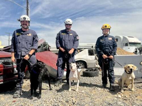 Congratulations to the canine disaster search teams that have achieved certification so far in 2026!