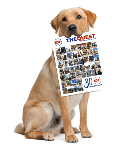 Get your paws on our Quest annual report!