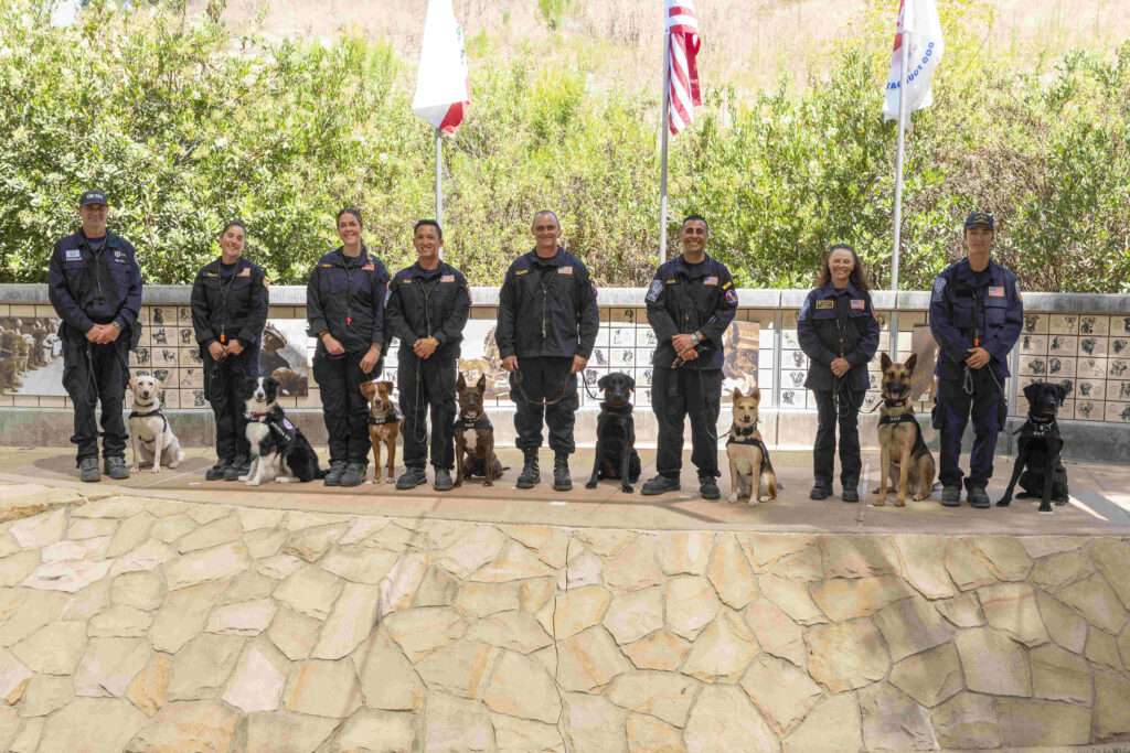 Introducing SDF’s Newest Search Teams!