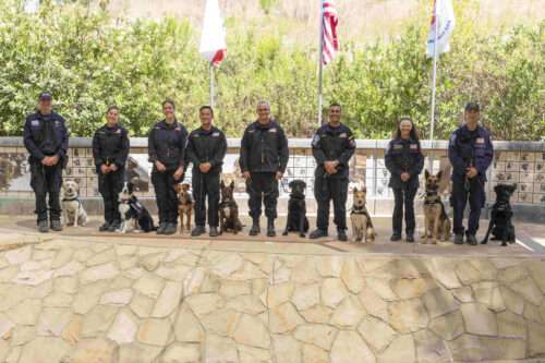Introducing SDF’s Newest Search Teams!