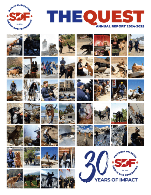 Get your paws on our Quest annual report!
