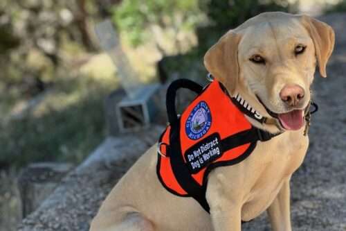 How K9 Chad and the City of Flint Are Building a Brighter Future Together