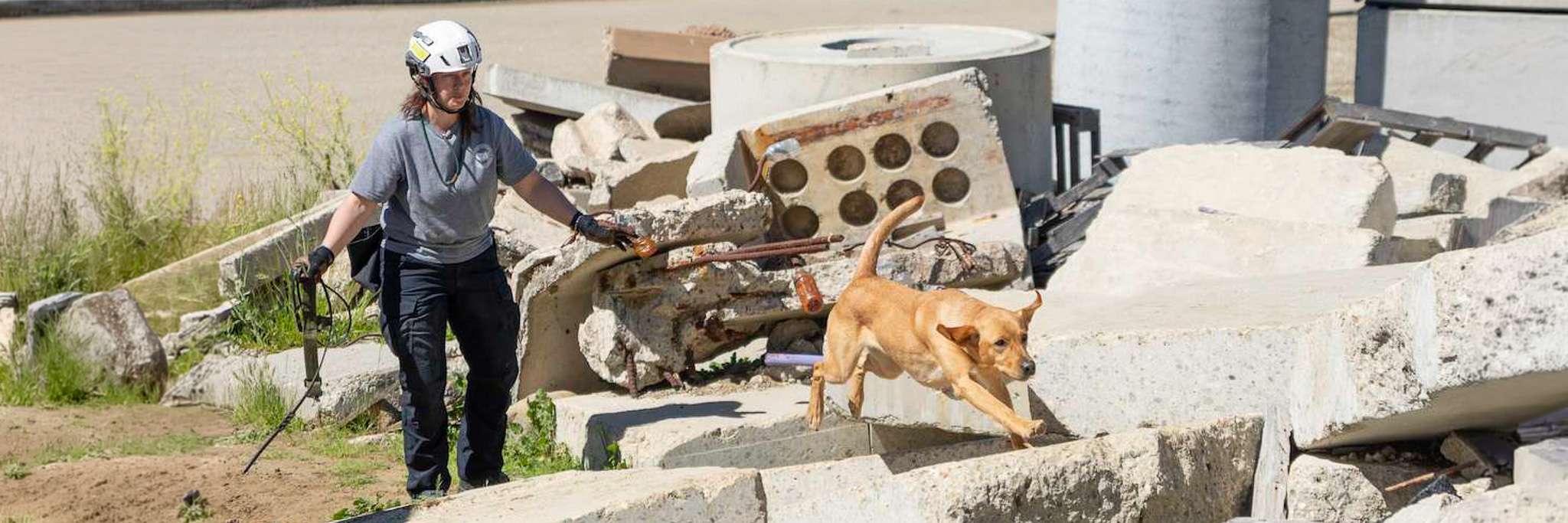 Goldie-Trinity-Maurer-rubble-04-16-2024-Mehl-005-2-2